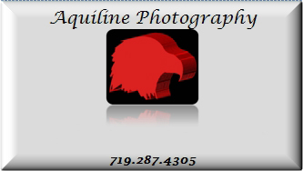 Aquiline Photography Business Card and Contact info