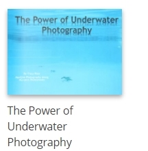 The Power of Underwater Photography
